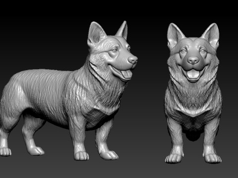 Swedish Vallhund - Swedish Shepherd model - 3D print 3D 打印模型
