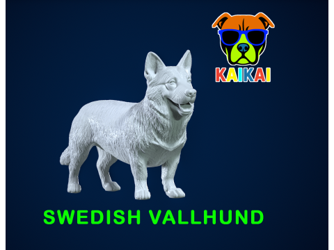 Swedish Vallhund - Swedish Shepherd model - 3D print 3D 打印模型