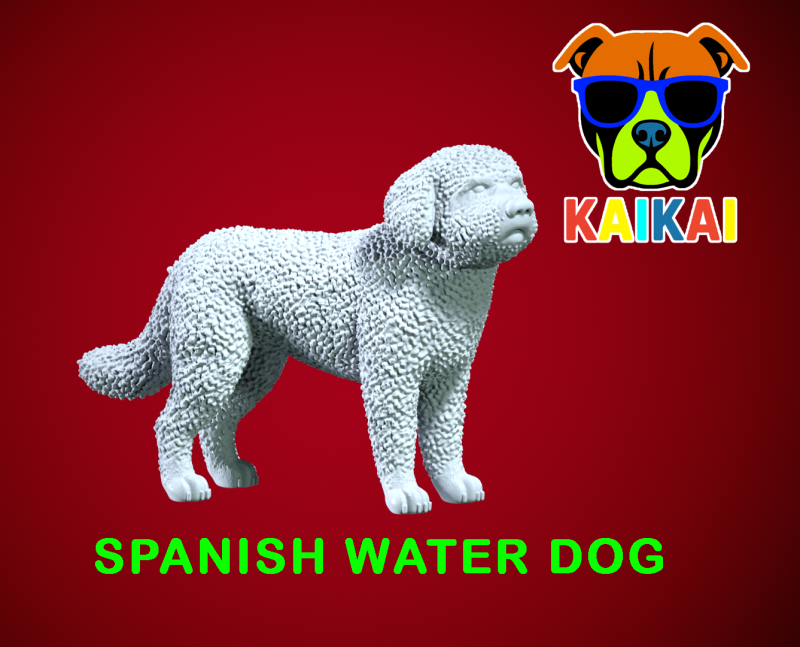 SWD - Spanish Water Dog - Perro turco model - 3D print Modello di stampa 3D .c4d .max .obj .3ds .fbx .stl .blend