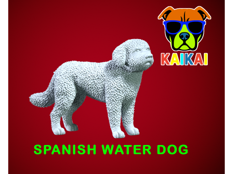 SWD - Spanish Water Dog - Perro turco model - 3D print 3D 打印模型