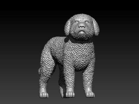 SWD - Spanish Water Dog - Perro turco model - 3D print Modello di stampa 3D