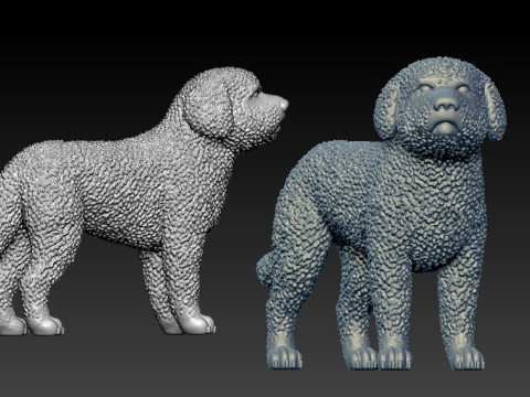 SWD - Spanish Water Dog - Perro turco model - 3D print Modello di stampa 3D