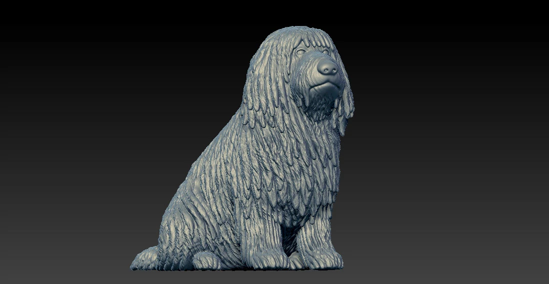 Puli Dog - Hungarian Puli model - 3D print 3D Print Model .c4d .max .obj .3ds .fbx .stl .blend 