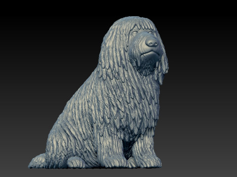 Puli Dog - Hungarian Puli model - 3D print 3D Принт Модель