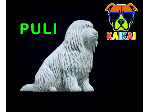 Puli Dog - Hungarian Puli model - 3D print Modello di stampa 3D