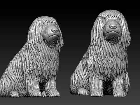 Puli Dog - Hungarian Puli model - 3D print 3D Print Model