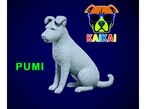 Pumi Dog - Pumi Hungary model - 3D print 3Dプリントモデル