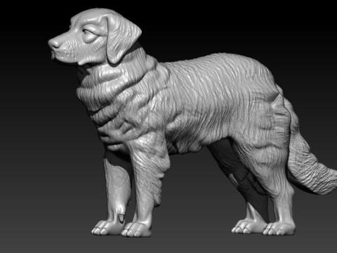 Kuvasz - Kuvasz Hungary MODEL - 3D print Modelo de impresión 3D