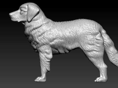 Kuvasz - Kuvasz Hungary MODEL - 3D print Modelo de impresión 3D