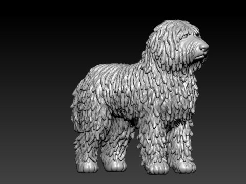 DOG - Komondor - Hungarian Commonmop MODEL - 3d PRINT 3D Принт Модель