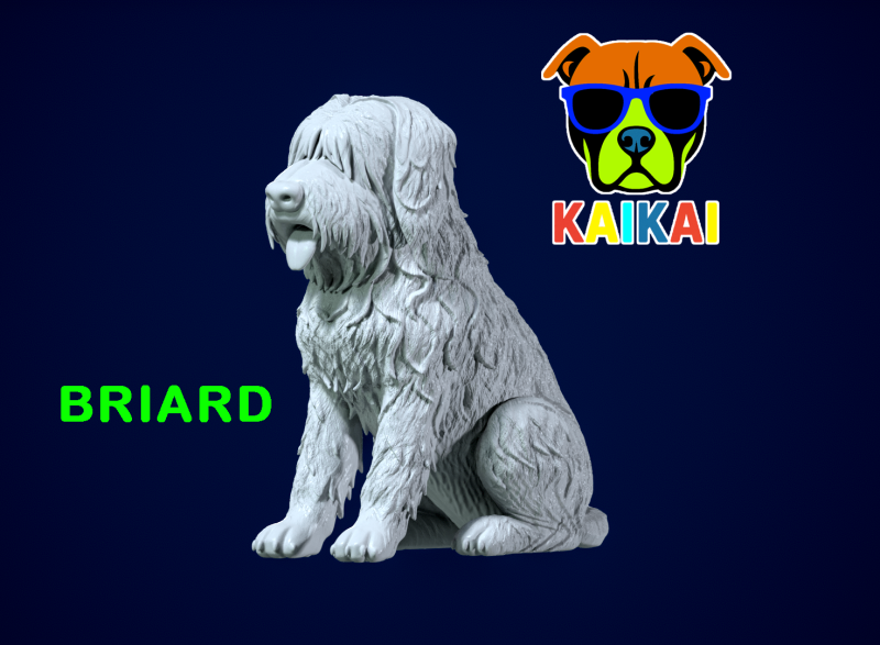 Briard - Berger de Brie mode - 3D print 3D Принт Модель .c4d .max .obj .3ds .fbx .stl .blend