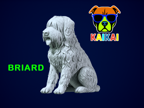 Briard - Berger de Brie mode - 3D print 3Dプリントモデル