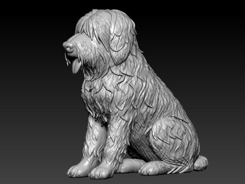 Briard - Berger de Brie mode - 3D print 3D Принт Модель