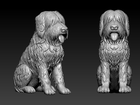 Briard - Berger de Brie mode - 3D print 3D Принт Модель