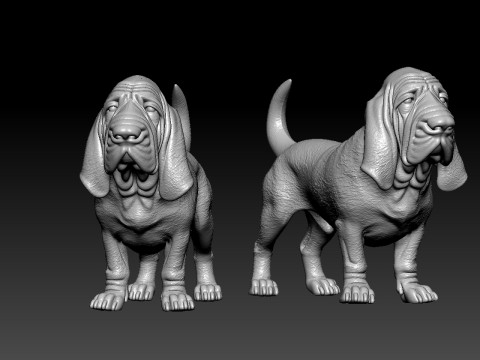 Bloodhound - St Hubert Hound model - 3D print 3D 打印模型