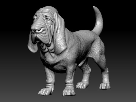Bloodhound - St Hubert Hound model - 3D print 3D 打印模型