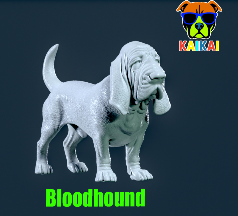 Bloodhound - St Hubert Hound model - 3D print 3D Принт Модель .c4d .max .obj .3ds .fbx .stl .blend