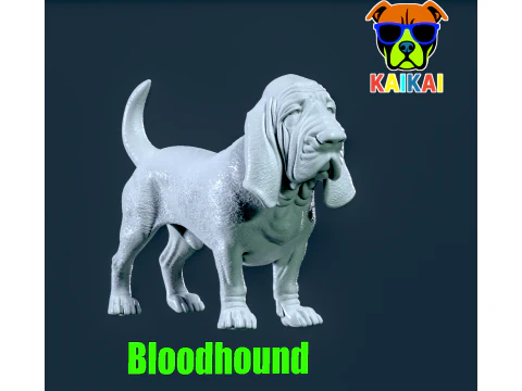 Bloodhound - Mod&egrave;le St Hubert Hound - Impression 3D Modèles 3D en vedette