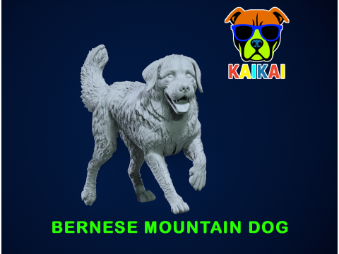 Bernese Mountain Dog - Berner Sennenhund model - 3D print 3D 打印模型