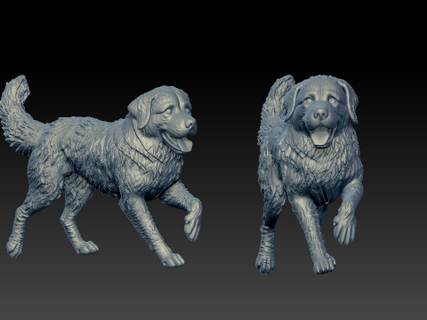 Bernese Mountain Dog - Berner Sennenhund model - 3D print 3D Принт Модель