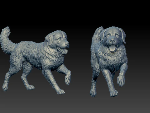 Bernese Mountain Dog - Berner Sennenhund model - 3D print 3D Print Model