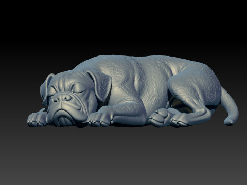 Boxer dog breed is sleeping- German Boxer model - 3D print Modelo de impresión 3D