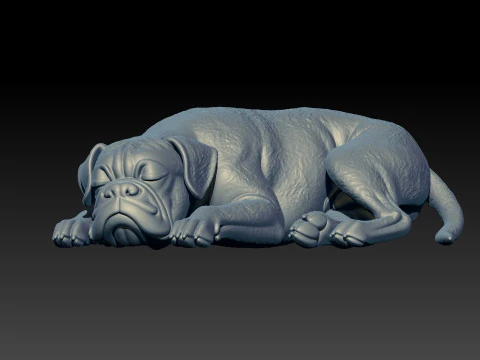 Boxer dog breed is sleeping- German Boxer model - 3D print 3D Print Model