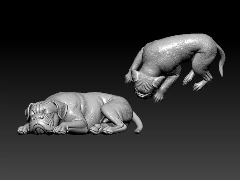 Boxer dog breed is sleeping- German Boxer model - 3D print 3D Print Model