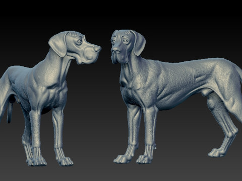 Great Dane dog - German Mastiff model - 3D print Modelo de impresión 3D