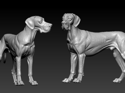 Great Dane dog - German Mastiff model - 3D print Modelo de impresión 3D
