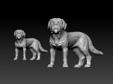 St Bernard - Saint Bernard model - 3D print 3D Print Model