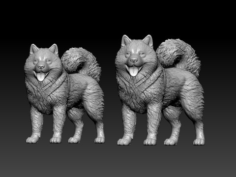 Alaska Malamute - Mally model - 3D print 3D 打印模型