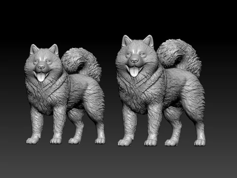 Alaska Malamute - Mally model - 3D print 3D Print Model