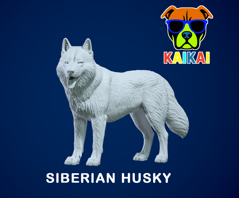 Siberian Husky - Chukcha model - 3D print Modelo de impresión 3D .c4d .max .obj .3ds .fbx .stl .blend