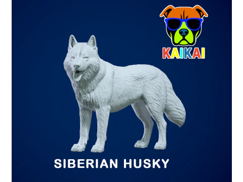 Siberian Husky - Chukcha-Modell - 3D-Druck 3D Druckmodell