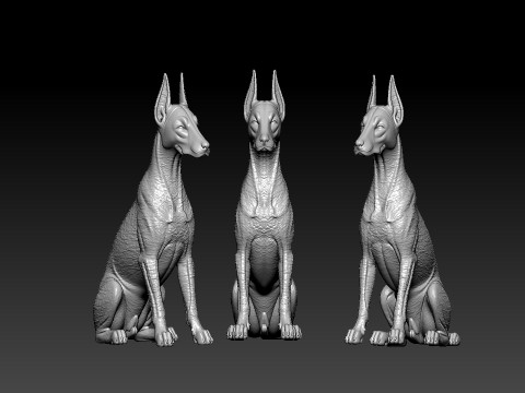 Dobermann - Doberman Pinscher model - 3D PRINT Model Cetak 3D