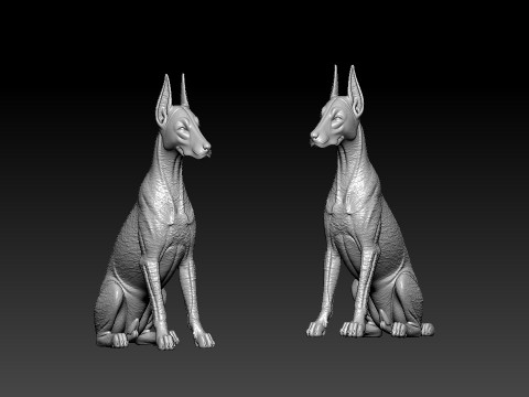 Dobermann - Doberman Pinscher model - 3D PRINT Model Cetak 3D
