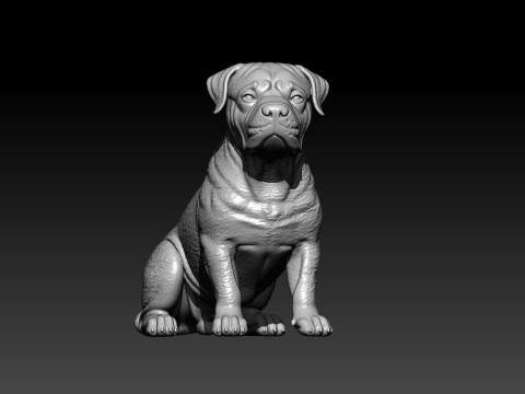 Rottweiler - Rottie dog model - 3D print 3D प्रिंट मॉडल