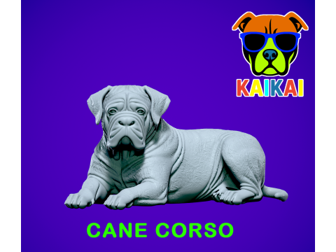 Cane Corso lying - English Mastiff model - 3D print 3D Принт Модель