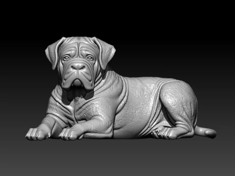 Cane Corso lying - English Mastiff model - 3D print 3D Print Model