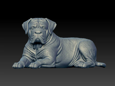 Cane Corso lying - English Mastiff model - 3D print 3D Print Model
