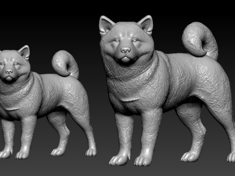 Akita dog - Japanese giant dog - 3D print 3Dプリントモデル