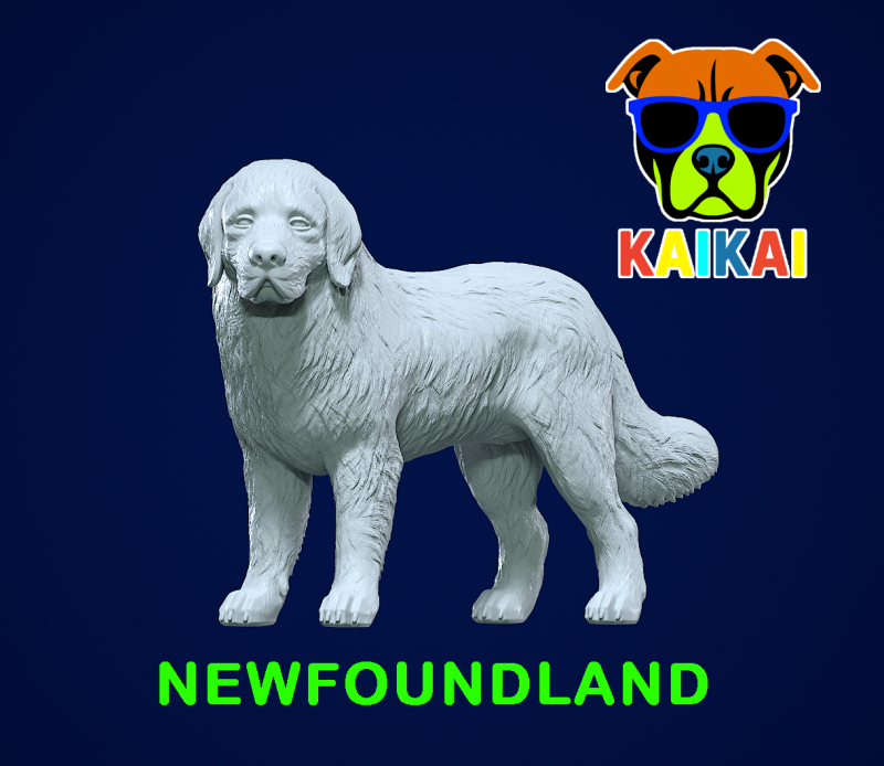 Newfoundland dog - Newfie dog model - 3D print 3D Принт Модель .c4d .max .obj .3ds .fbx .stl .blend