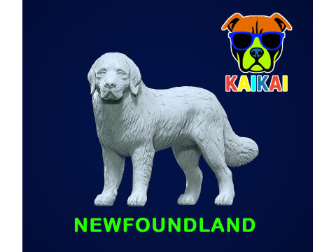 Newfoundland dog - Newfie dog model - 3D print 3D 打印模型
