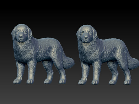 Newfoundland dog - Newfie dog model - 3D print 3D Принт Модель