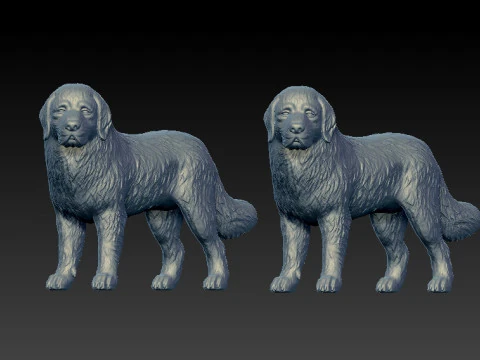 Newfoundland dog - Newfie dog model - 3D print 3D Print Model