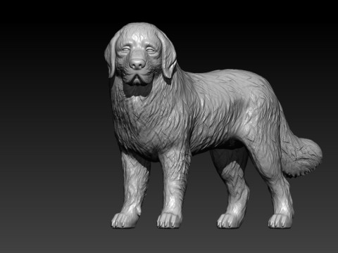 Newfoundland dog - Newfie dog model - 3D print 3D Принт Модель