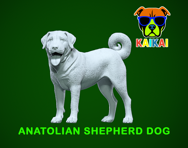 Anatolian Shepherd Dog model - 3D print 3D-Druckmodell .c4d .max .obj .3ds .fbx .stl .blend