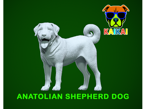 Anatolian Shepherd Dog model - 3D print 3D 打印模型
