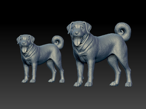 Anatolian Shepherd Dog model - 3D print 3D-Druckmodell